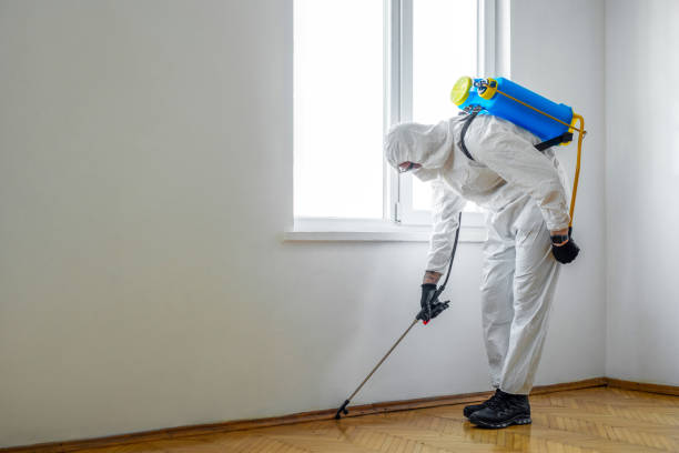 Professional Pest Control in East Porterville, CA